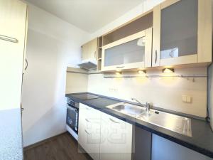 Pronájem bytu 1+1, Liberec, Borový vrch, 39 m2