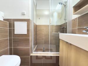 Pronájem bytu 1+1, Liberec, Borový vrch, 39 m2