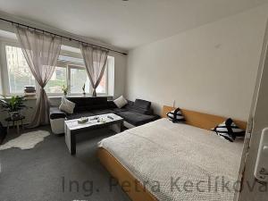 Pronájem bytu 1+1, Brno - Staré Brno, Kopečná, 44 m2
