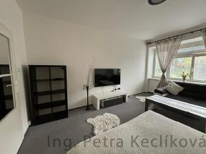Pronájem bytu 1+1, Brno - Staré Brno, Kopečná, 44 m2