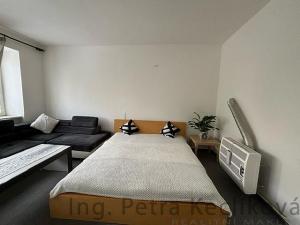 Pronájem bytu 1+1, Brno - Staré Brno, Kopečná, 44 m2