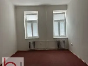 Pronájem bytu 1+1, České Budějovice, 40 m2