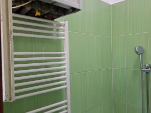 Pronájem bytu 1+1, Plzeň, Dvořákova, 58 m2