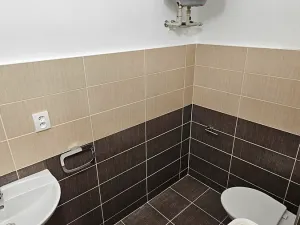 Pronájem obchodního prostoru, Praha, Radlická, 60 m2