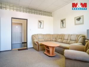 Prodej obchodního prostoru, Kadaň, Polní, 1200 m2