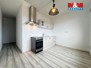 Pronájem bytu 3+1, Ostrov, Lidická, 85 m2