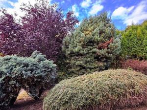 Prodej rodinného domu, Jablonec nad Nisou - Rýnovice, Maxe Švabinského, 175 m2