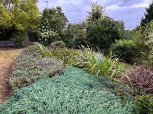 Prodej rodinného domu, Jablonec nad Nisou - Rýnovice, Maxe Švabinského, 175 m2