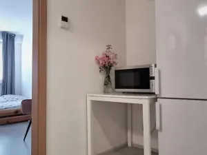 Prodej bytu 2+kk, Brno, Táborská, 40 m2