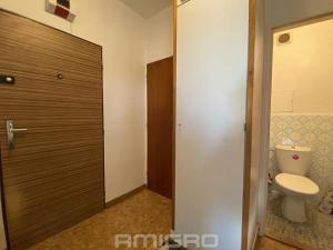 Pronájem bytu 1+1, Brno, Bohuslava Martinů, 38 m2