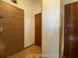 Pronájem bytu 1+1, Brno, Bohuslava Martinů, 38 m2