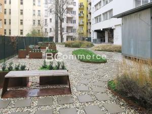 Pronájem kanceláře, Brno, 60 m2