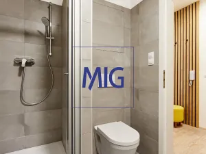 Prodej bytu 2+kk, Brno, Vranovská, 46 m2