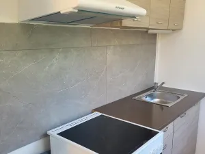 Pronájem bytu 1+1, Most, Jana Kubelíka, 31 m2