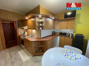 Pronájem bytu 1+1, Karviná - Ráj, Borovského, 42 m2