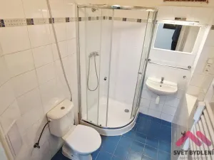 Pronájem bytu 2+kk, Praha - Nové Město, Mezibranská, 54 m2