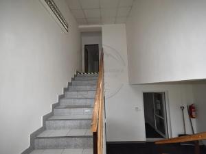 Pronájem výrobních prostor, Česká Ves, Polská, 2190 m2