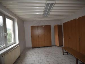 Pronájem výrobních prostor, Česká Ves, Polská, 2190 m2