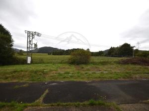 Pronájem výrobních prostor, Česká Ves, Polská, 2190 m2