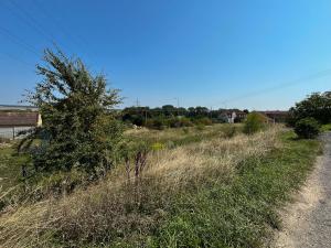 Prodej pozemku, Mělník, Mladoboleslavská, 1782 m2