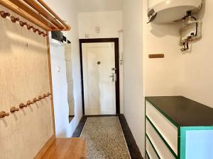 Prodej bytu 2+kk, Praha - Žižkov, Spojovací, 44 m2