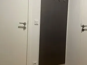 Pronájem bytu 1+kk, Praha - Vršovice, Bartoškova, 40 m2