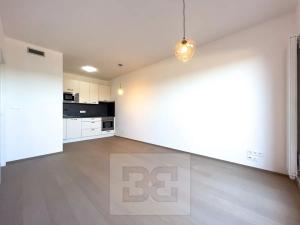 Pronájem bytu 2+kk, Praha - Strašnice, Michelangelova, 45 m2