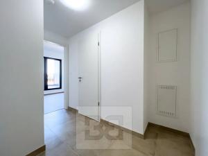 Pronájem bytu 2+kk, Praha - Strašnice, Michelangelova, 45 m2