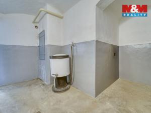 Pronájem rodinného domu, Dlažov, 223 m2