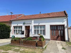 Prodej rodinného domu, Rakvice, Dolní, 400 m2