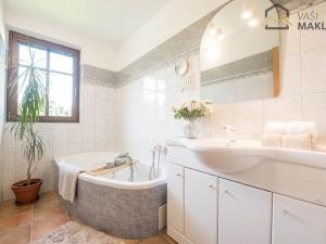 Prodej rodinného domu, Rudník, 433 m2