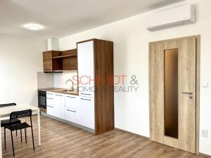 Pronájem bytu 1+kk, Hustopeče, Alejní, 30 m2