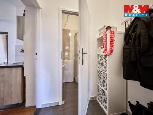 Prodej bytu 1+1, Hostinné, K. Čapka, 36 m2