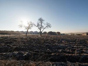 Prodej pozemku pro bydlení, Syrovice, 403 m2