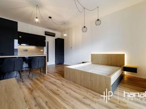 Pronájem bytu 1+kk, Brno, Komárovská, 38 m2