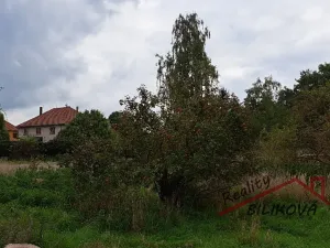 Prodej pozemku pro bydlení, Záryby, 1001 m2