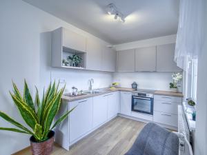 Pronájem bytu 3+kk, Rakovník - Rakovník II, Pražská, 61 m2