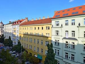 Pronájem bytu 1+1, Praha - Vinohrady, Řipská, 45 m2