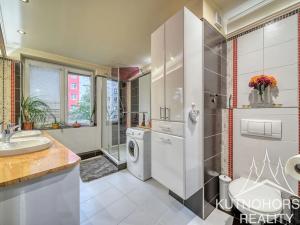 Prodej bytu 1+kk, Praha - Záběhlice, Malovická, 57 m2