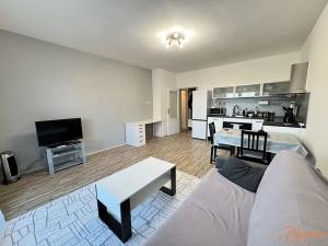 Pronájem bytu 1+kk, Holubice, Platanová, 48 m2