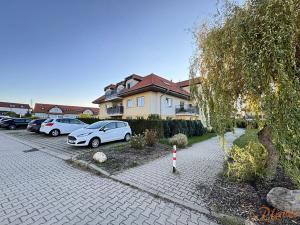 Pronájem bytu 1+kk, Holubice, Platanová, 48 m2