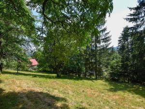 Prodej zahrady, Stříbrná Skalice, osada Spálený, 1015 m2