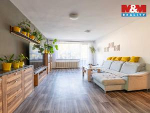 Prodej rodinného domu, Březnice, 260 m2