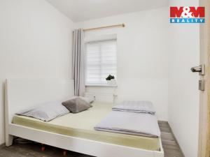 Prodej bytu 3+kk, Velemín - Oparno, 43 m2