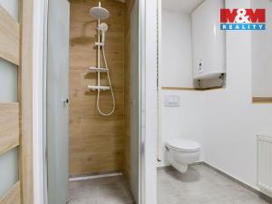 Prodej bytu 3+kk, Velemín - Oparno, 43 m2
