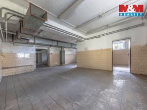 Prodej výrobních prostor, Jičín - Popovice, 5996 m2