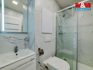 Pronájem bytu 1+kk, Mariánské Lázně - Úšovice, Hroznatova, 19 m2