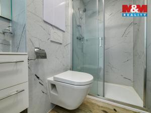 Pronájem bytu 1+kk, Mariánské Lázně - Úšovice, Hroznatova, 19 m2