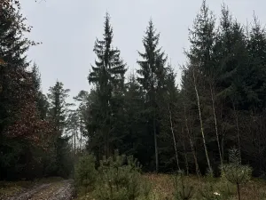 Prodej pozemku, Veliny, 50855 m2