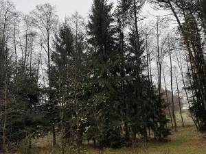 Prodej pozemku, Veliny, 50855 m2